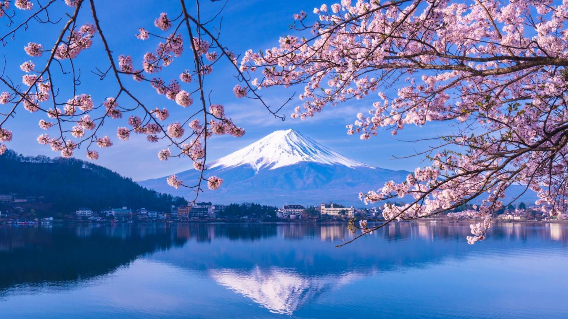 Mt Fuji Glamping Tourist Villa Kawaguchiko Fujikawaguchiko Ngoại thất bức ảnh