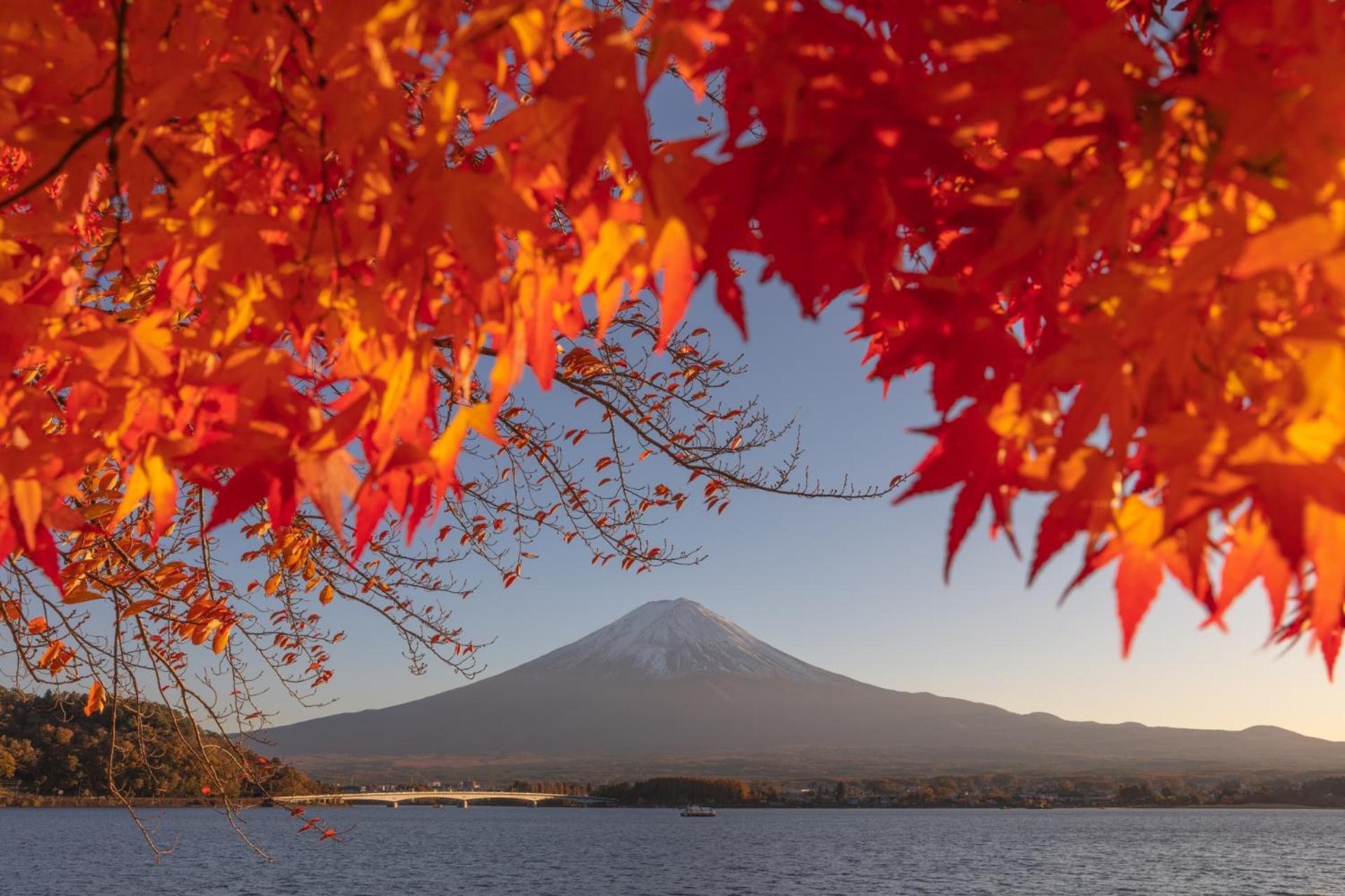 Mt Fuji Glamping Tourist Villa Kawaguchiko Fujikawaguchiko Ngoại thất bức ảnh